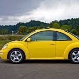 Meet your Posher, Rene